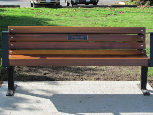 Cedar bench 2010