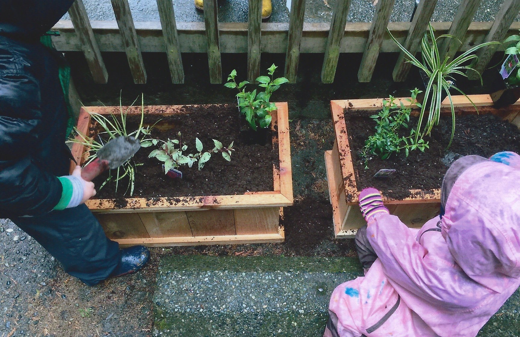Preschool Garden 3